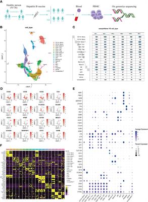 Single-cell RNA sequencing reveals the transcriptomic characteristics of peripheral blood mononuclear cells in hepatitis B vaccine non-responders